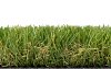 Royal Grass Sense (4 meter breed)