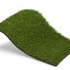 Royal Grass Wave (4 meter breed)