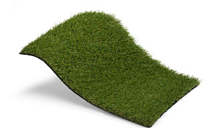 Royal Grass Wave (4 meter breed)