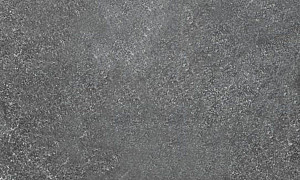 Spotted Bluestone MF 60x60x3 cm gezoet